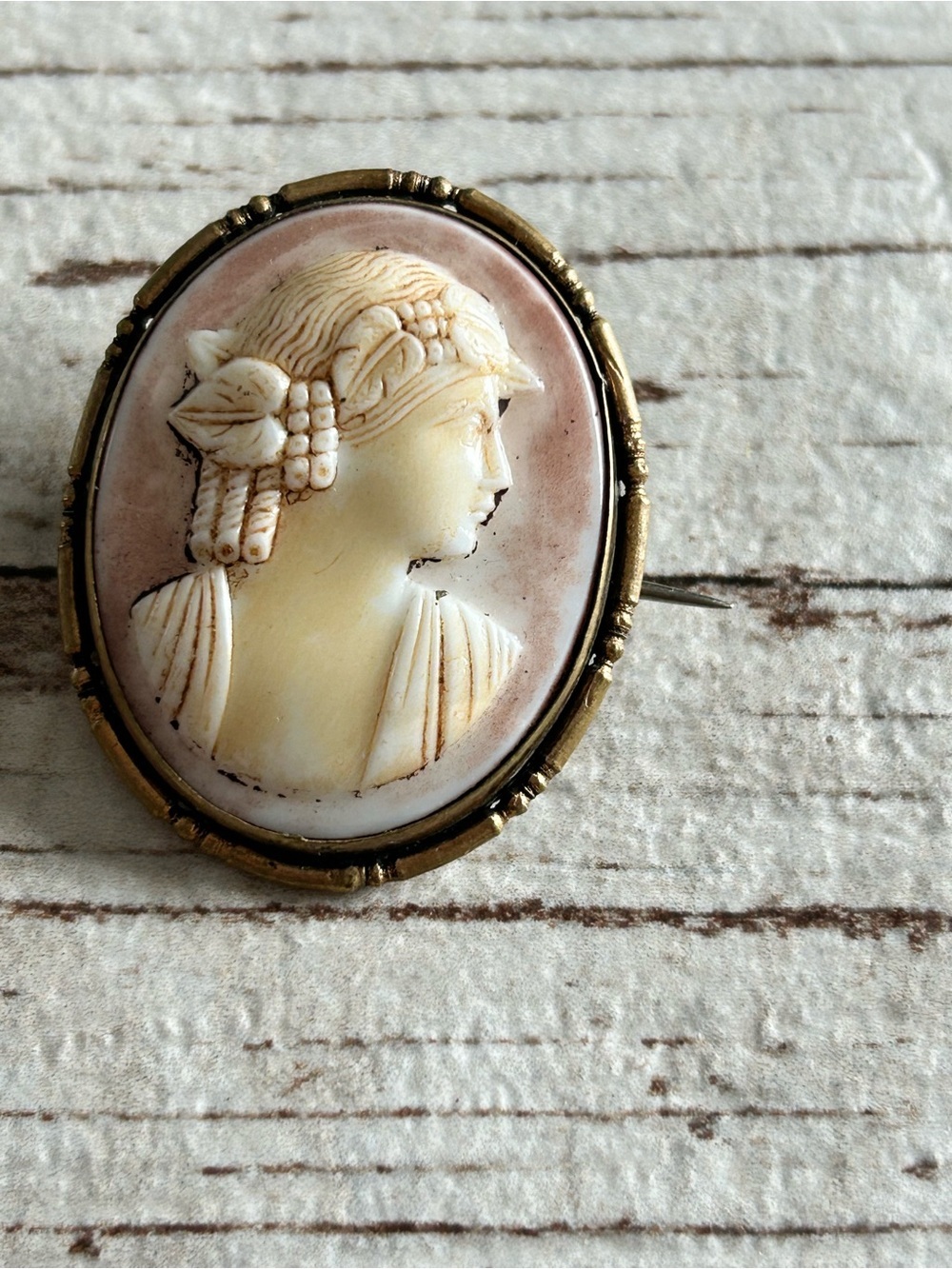Vintage Cameo Portrait Brooch in Cream and Pink with Gold Frame